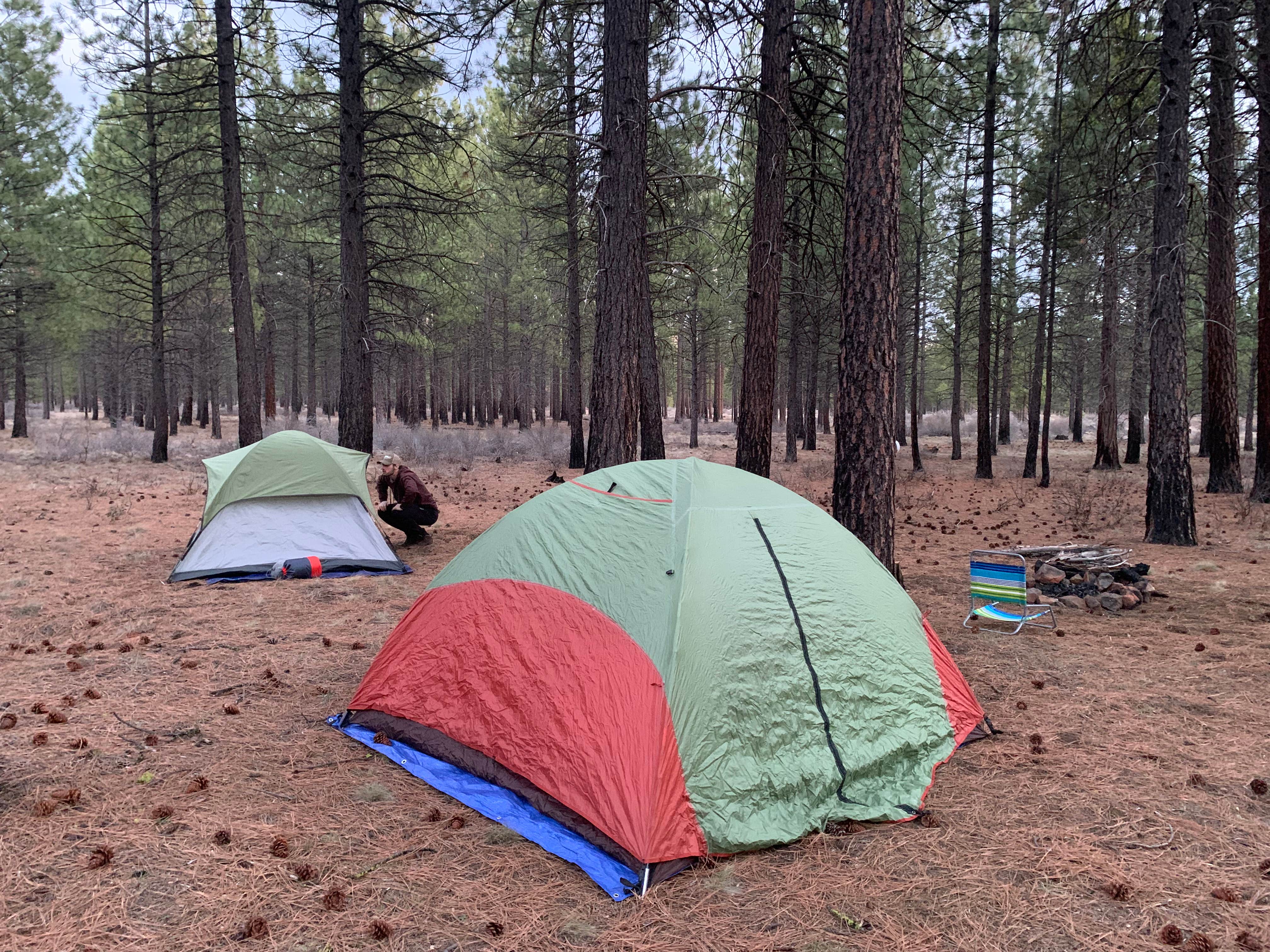 gillian P.'s photo at Sisters, Oregon - Dispersed Camping near Redmond, OR