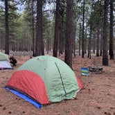 Review photo of Sisters, Oregon - Dispersed Camping by gillian P., March 9, 2023