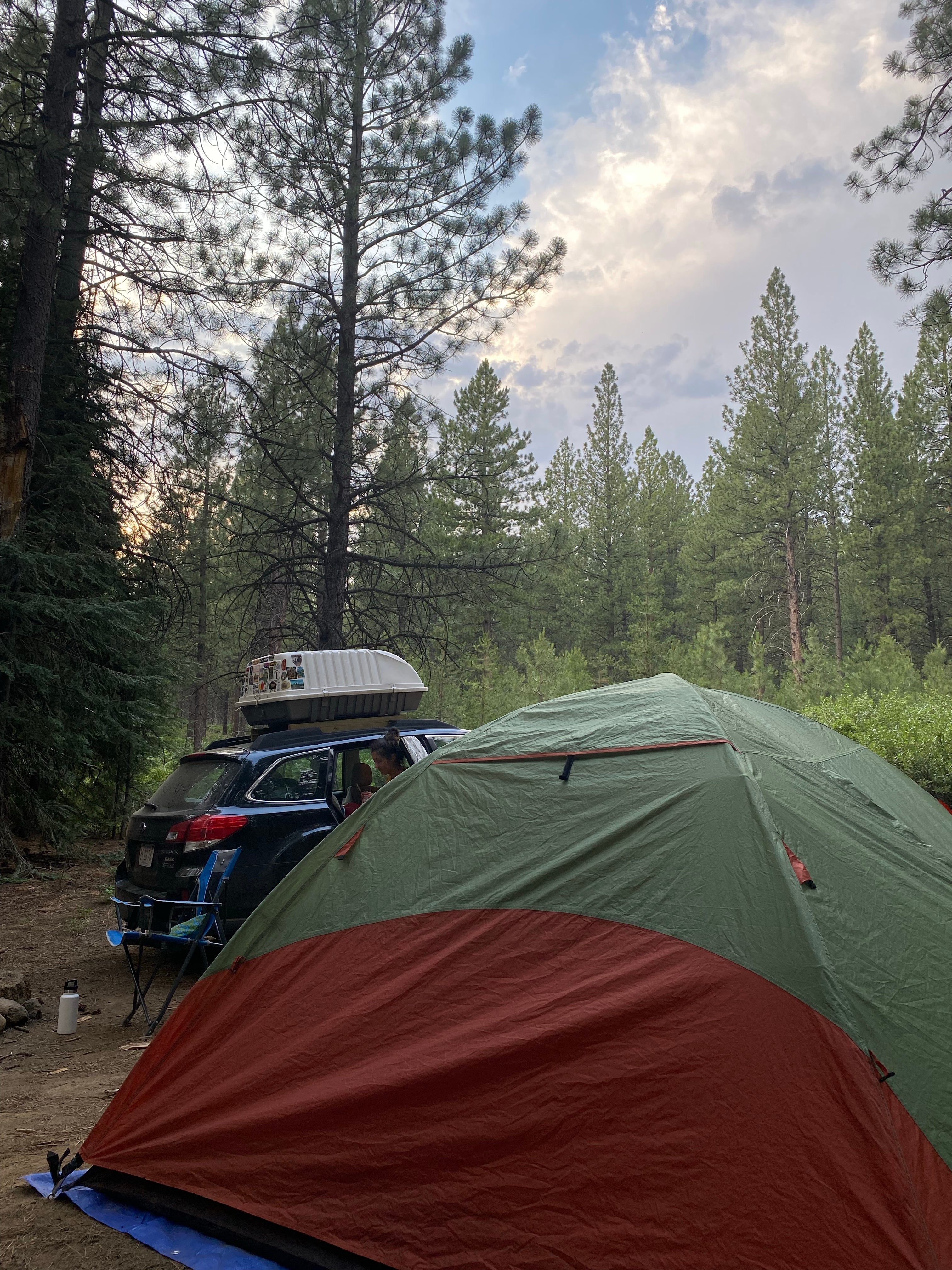 Camper submitted image from NF 4610 Roadside Dispersed Camping - 2