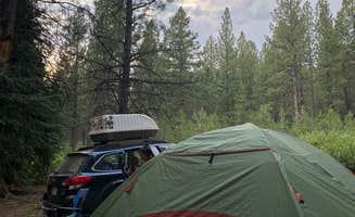gillian P.'s photo of a dispersed camping area at NF 4610 Roadside Dispersed Camping near Fort Rock, OR