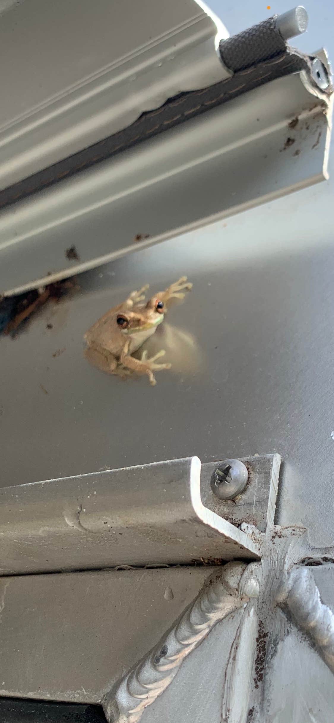 Camper-submitted photo at C.B. Smith Park Campground near North Miami, FL