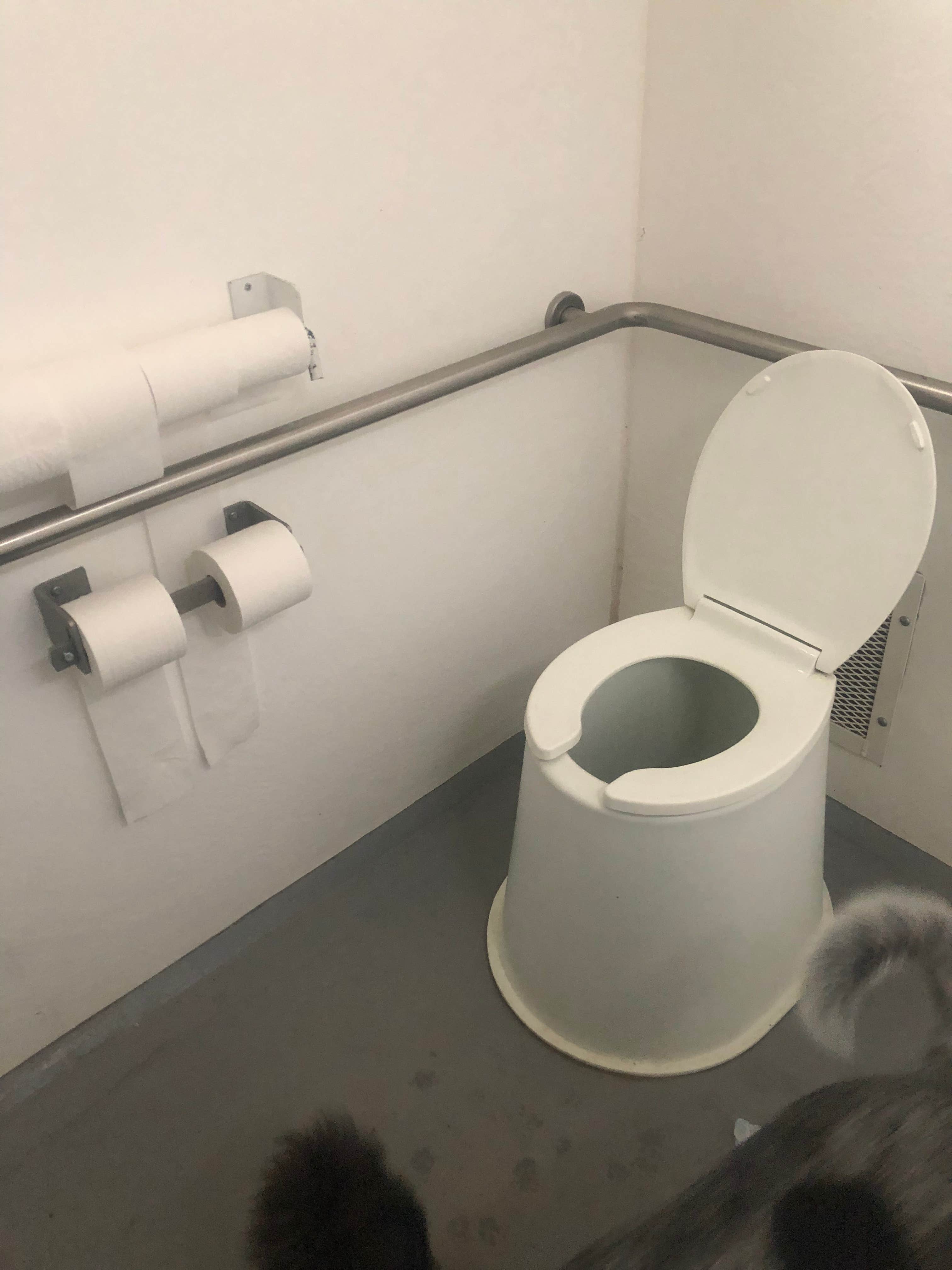 Pit toilets