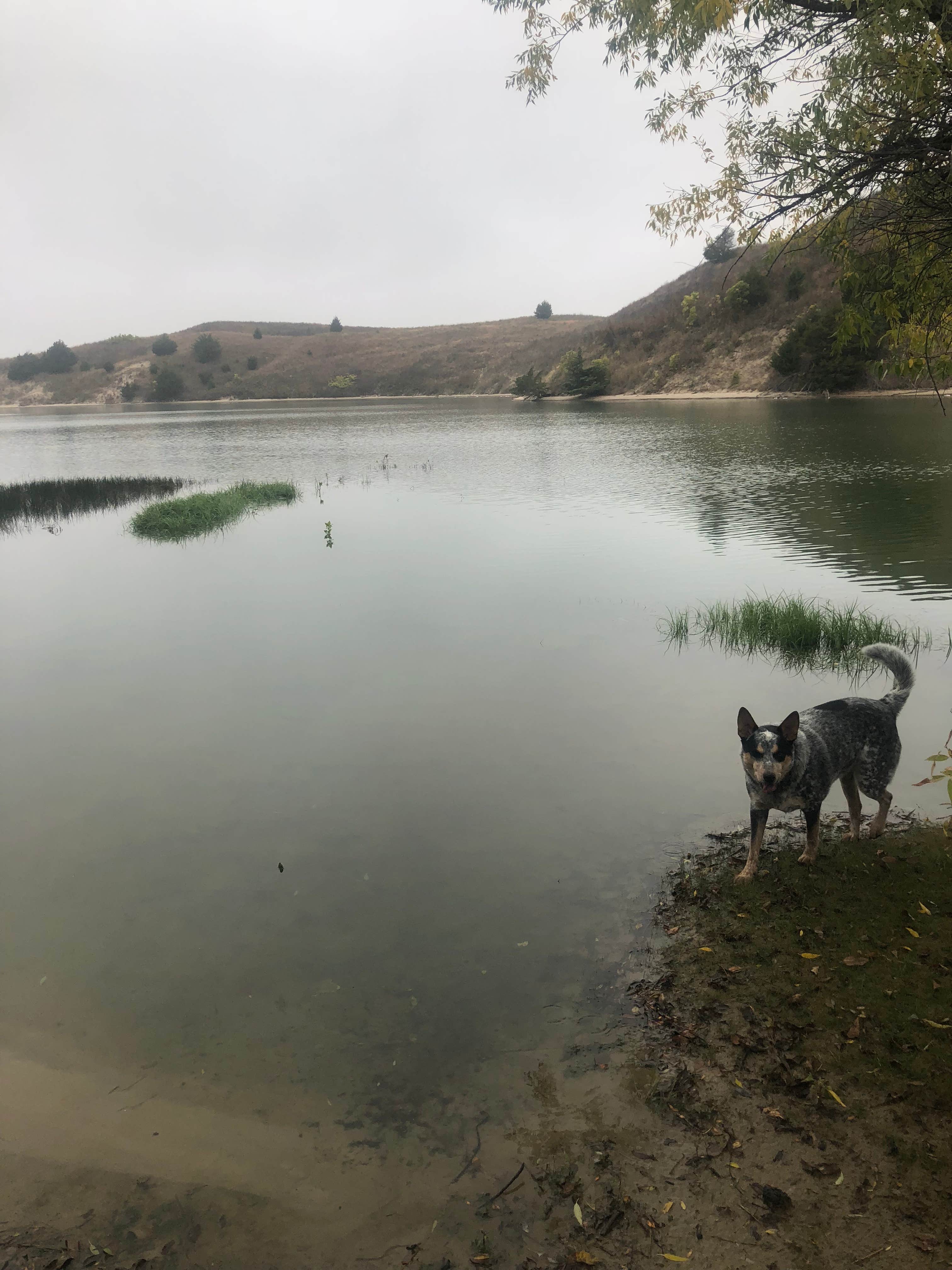 Shelly S.'s photo of camping with pets at Beeds Landing Area Campground near Valentine, NE