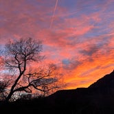 Review photo of Watchman Campground — Zion National Park by Name , March 9, 2023