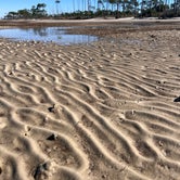 Review photo of Dr. Julian G. Bruce St. George Island State Park by Untrammelers B., March 9, 2023
