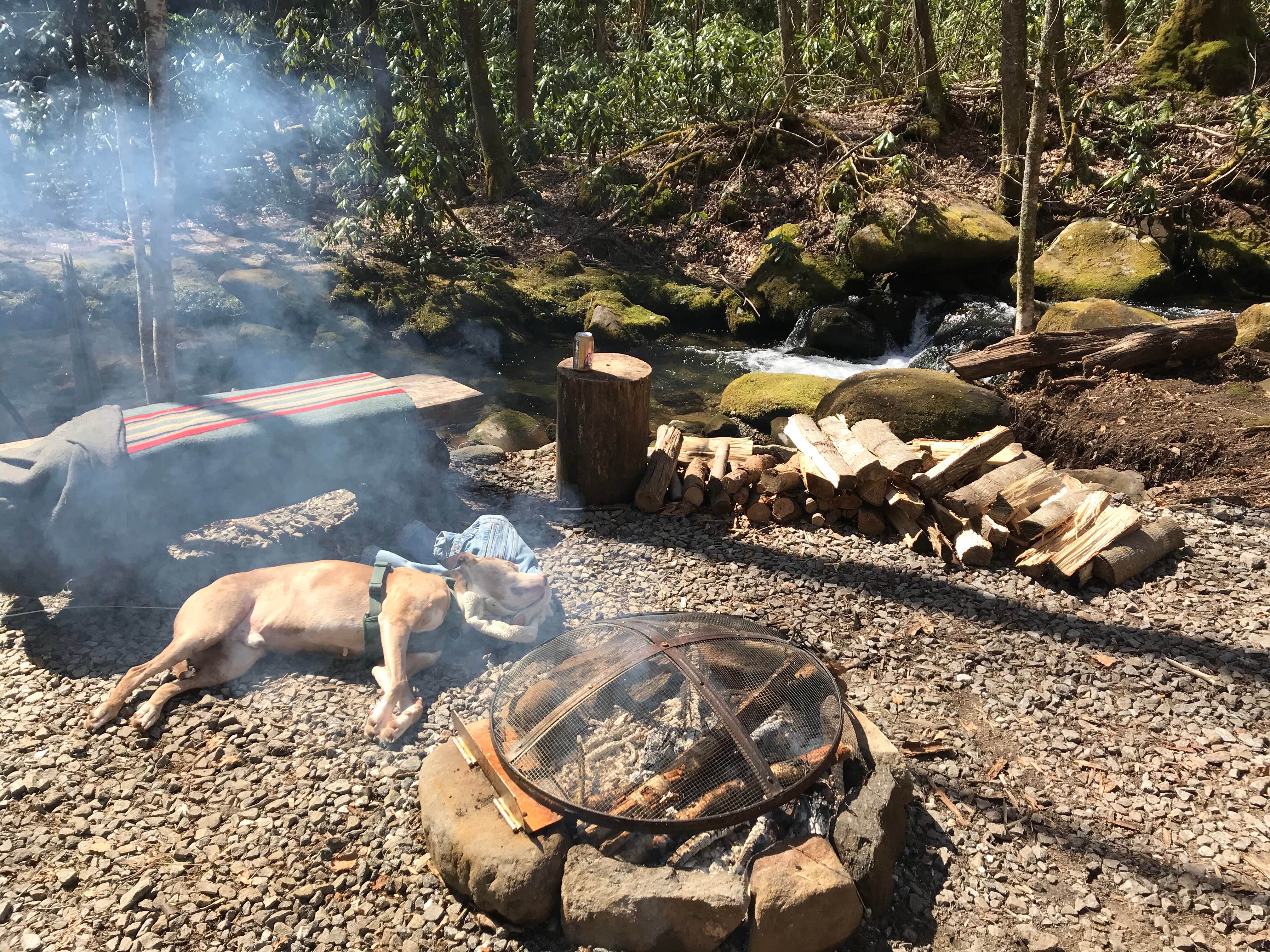 Taylor H.'s photo of tent camping at Mountain Creek Rest near Murphy, NC