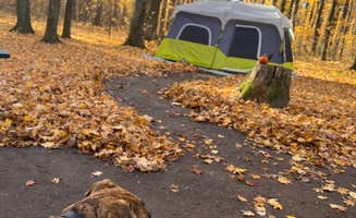 Justin Y.'s photo of camping with pets at Ledge County Park near Belgium, WI