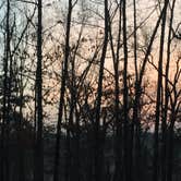 Review photo of Greenleaf State Park Campground by Chad K., August 14, 2016