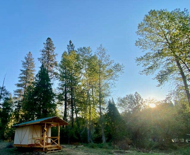 Ysabel U.'s photo of glamping accommodations at Regeneration Base Camp near Weed, CA