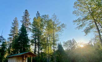 Ysabel U.'s photo of glamping accommodations at Regeneration Base Camp near Six Rivers National Forest