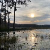 Review photo of Lake Louisa State Park Campground by Kathy L., March 10, 2023