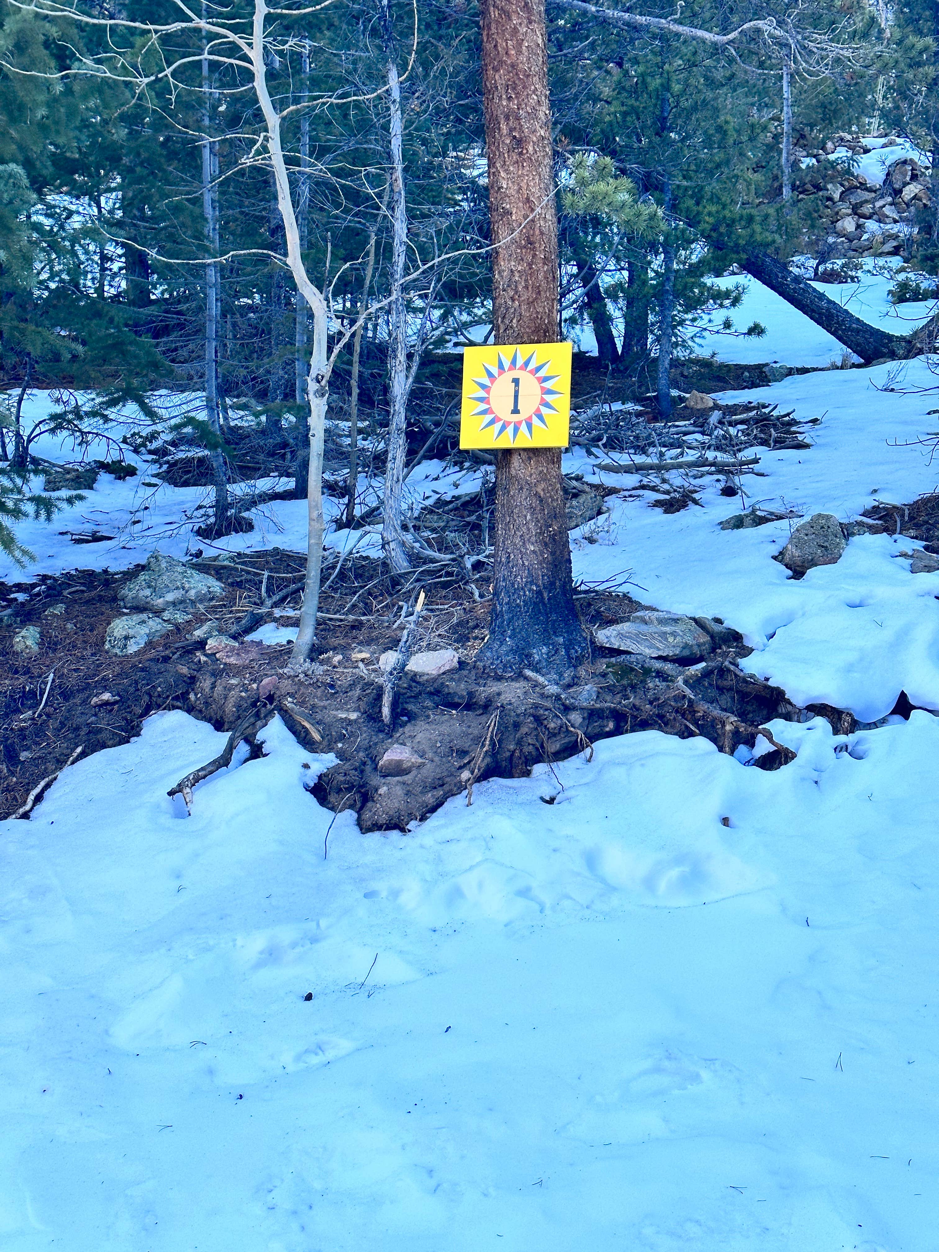 Camper-submitted photo at Clear Creek Getaway near Idaho Springs, CO