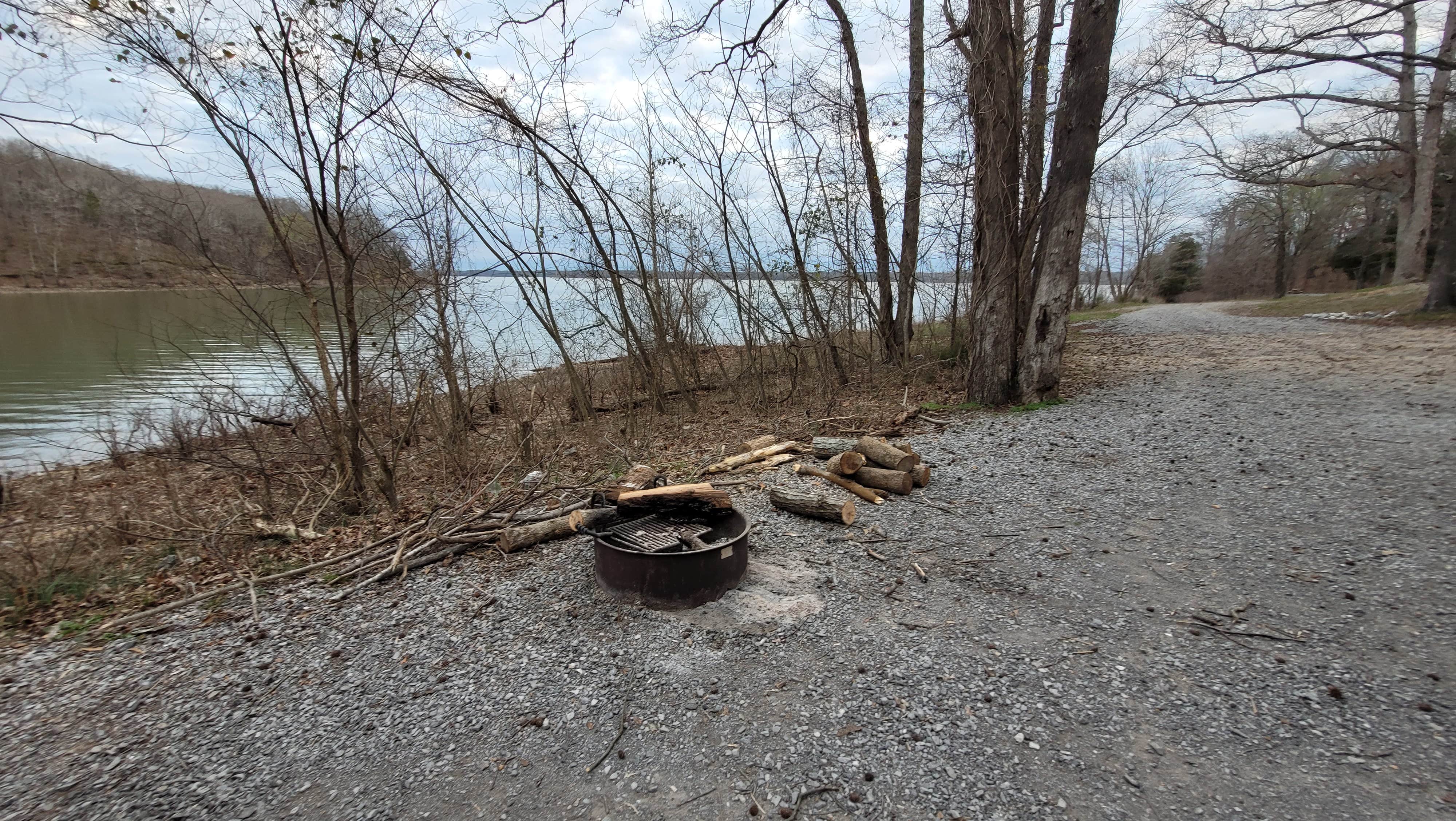Darryl H.'s photo of a dispersed camping area at Forest Service Rd 343 near Oak Grove, KY