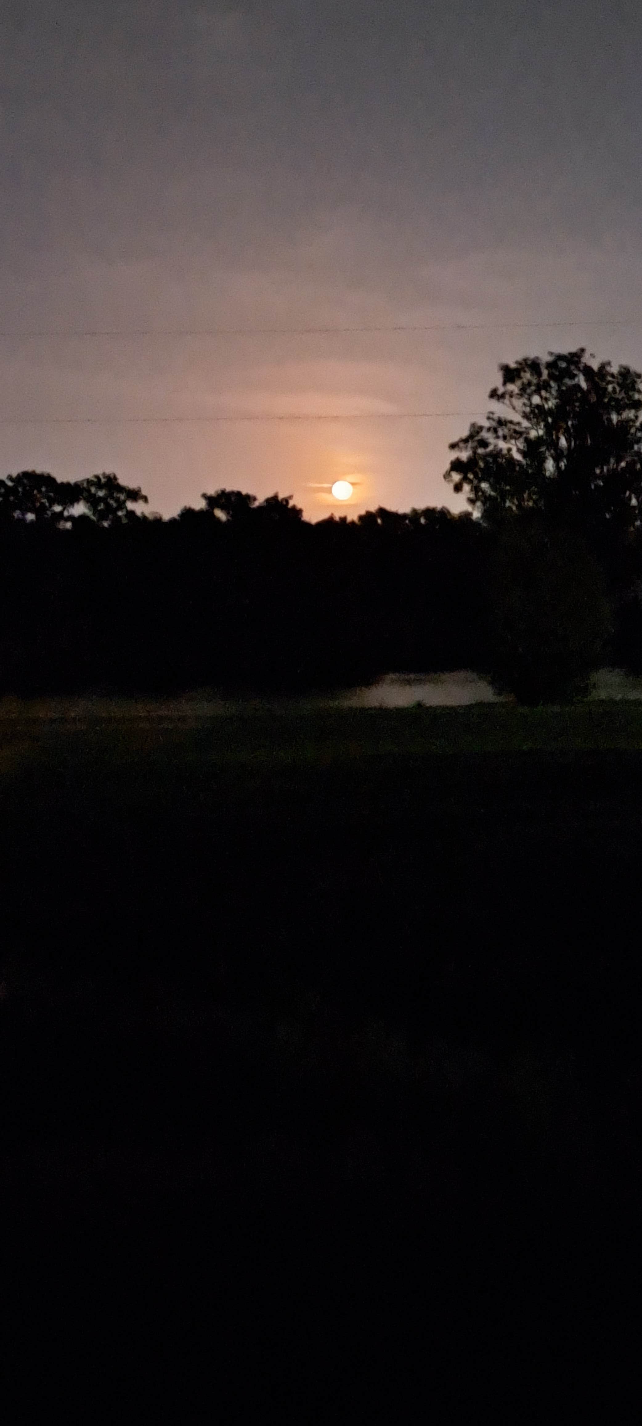 Camper-submitted photo at Saddle Creek Park and Campground near Bartow, FL