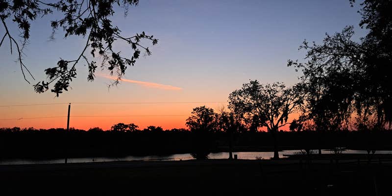 Camper submitted image from Saddle Creek Park and Campground