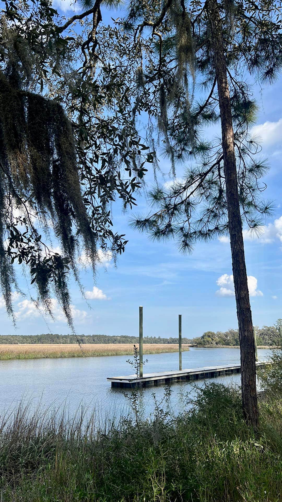 Camper-submitted photo at Belle Bluff Island Campground near Townsend, GA