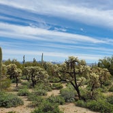 Review photo of Cactus Forest Dispersed by John R., March 10, 2023