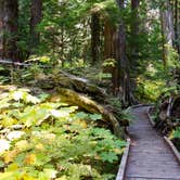 Review photo of Lost Lake Resort And Campground — Mt. Hood National Forest by Jill T., September 30, 2018