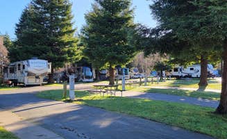The Dyrt's photo at Riverwalk RV Park near Fields Landing, CA