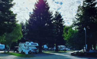 The Dyrt's photo of rv camping at Riverwalk RV Park near Myers Flat, CA