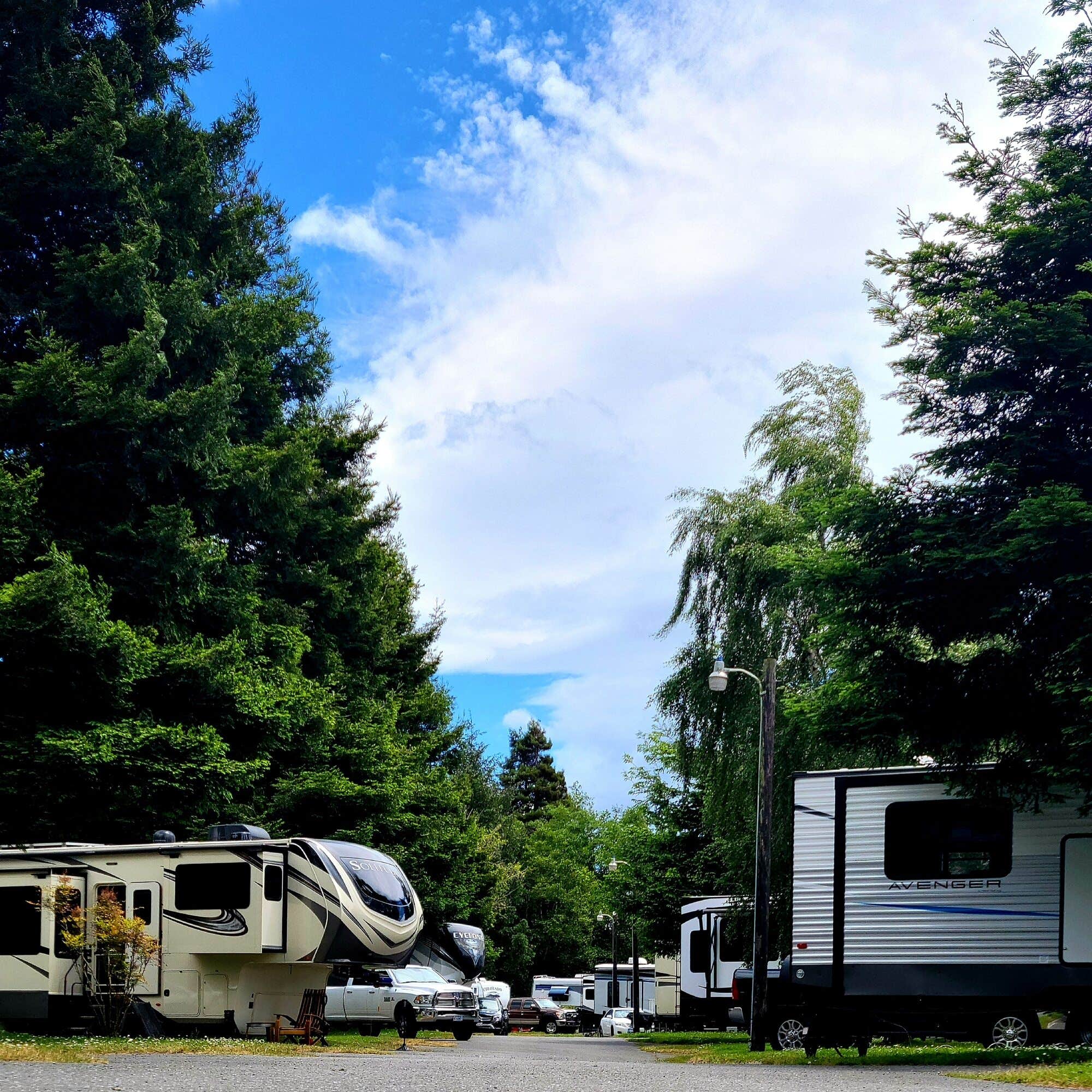 The Dyrt's photo of rv camping at Riverwalk RV Park near Arcata, CA
