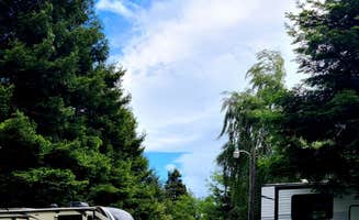 The Dyrt's photo at Riverwalk RV Park near Ferndale, CA