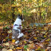 Review photo of Clarence Fahnestock State Park — Clarence Fahnestock Memorial State Park by Asher K., October 1, 2018