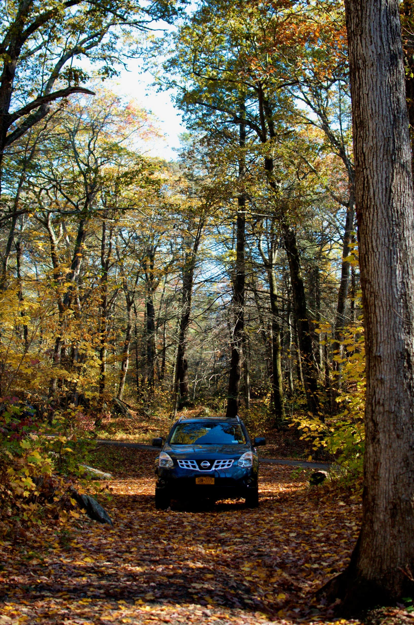 Camper-submitted photo at Clarence Fahnestock State Park Campground in New York