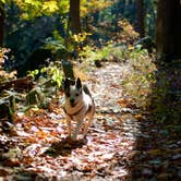 Review photo of Clarence Fahnestock State Park — Clarence Fahnestock Memorial State Park by Asher K., October 1, 2018