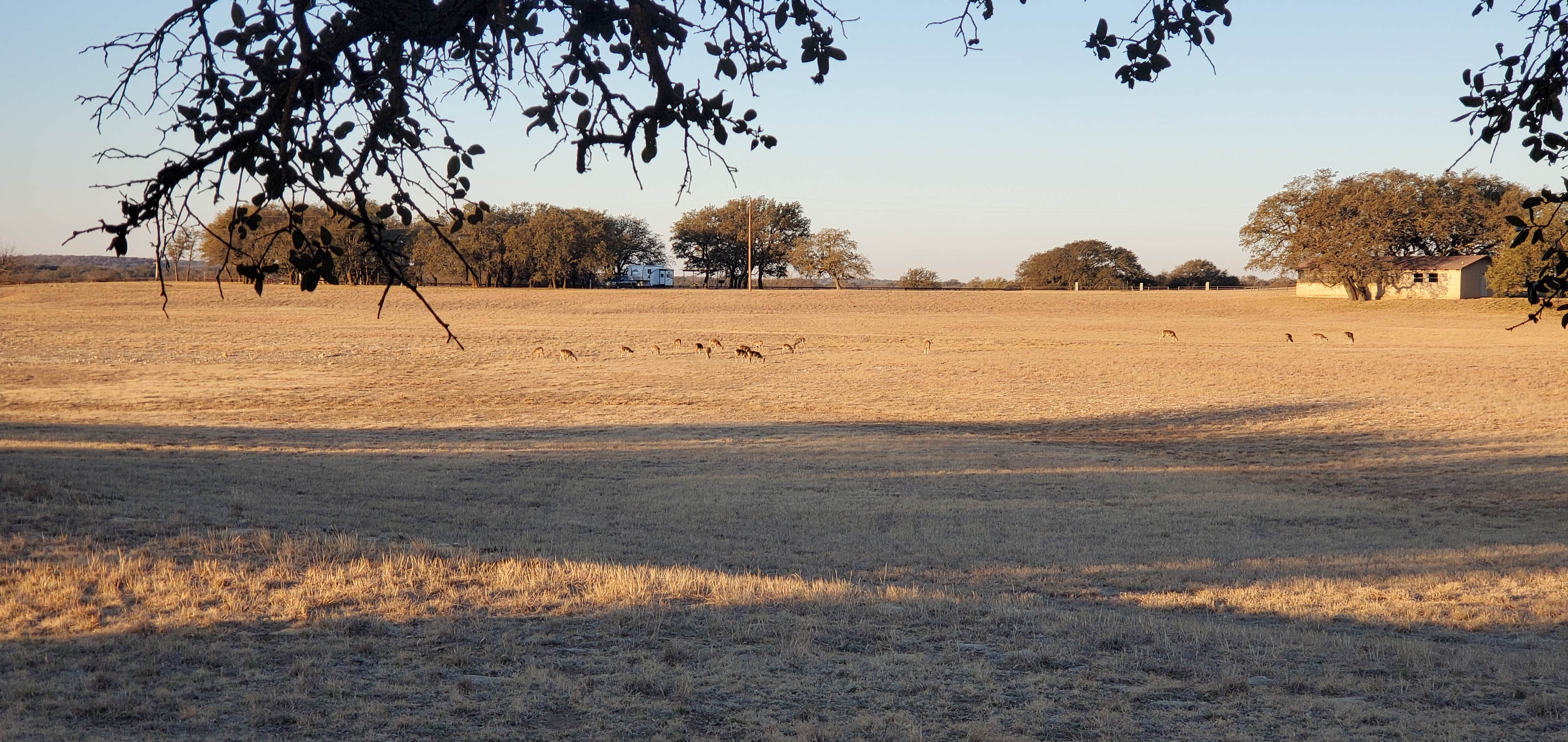 Camper-submitted photo at Lakeside (TX) near Hords Creek Lake