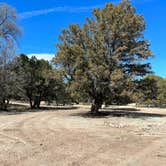 Review photo of Gila National Forest Road 861 Dispersed by Rick J., March 11, 2023