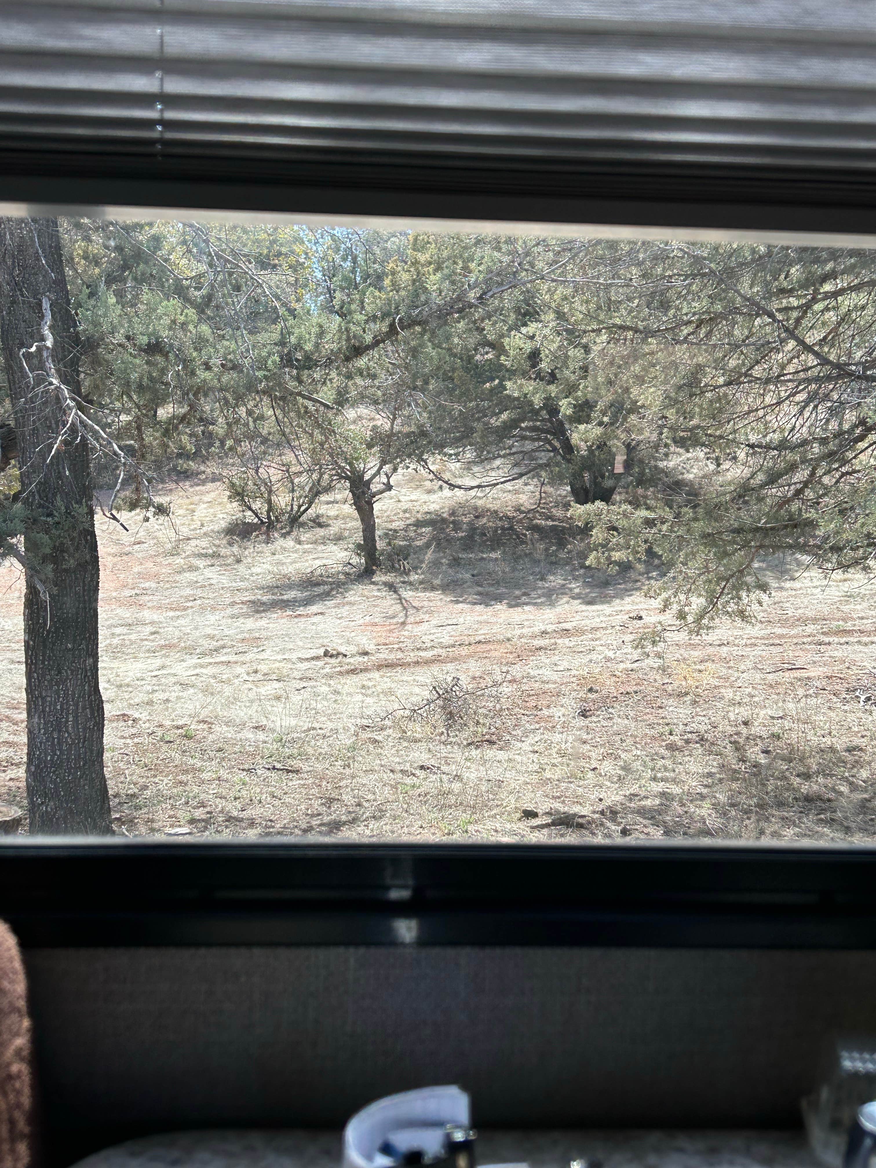 Camper-submitted photo at Gila National Forest Road 861 Dispersed near Playas, NM