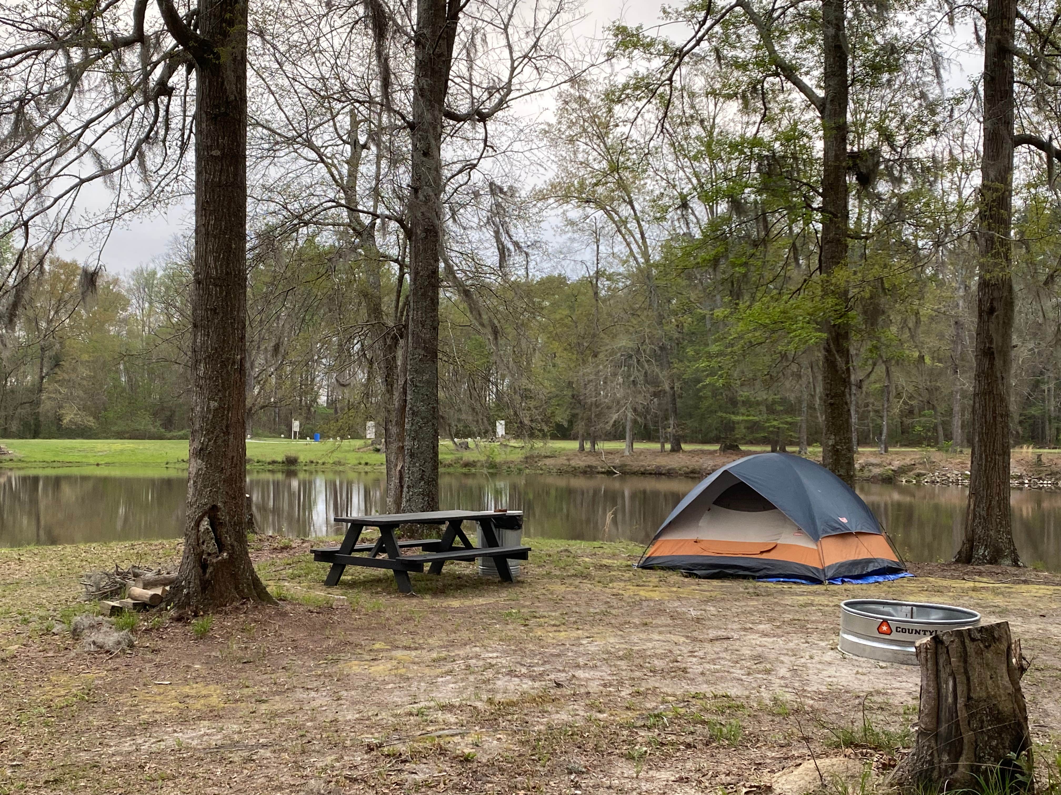 Marianne M.'s photo at Pinchona Farm near Prattville, AL