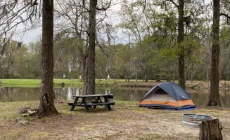 Marianne M.'s photo at Pinchona Farm near Prattville, AL