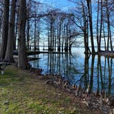 Review photo of Reelfoot Lake State Park Campgrounds by Whistle P., March 11, 2023