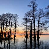 Review photo of Reelfoot Lake State Park Campground by Whistle P., March 11, 2023