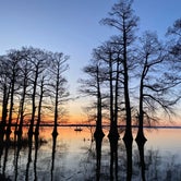 Review photo of Reelfoot Lake State Park Campground by Whistle P., March 11, 2023