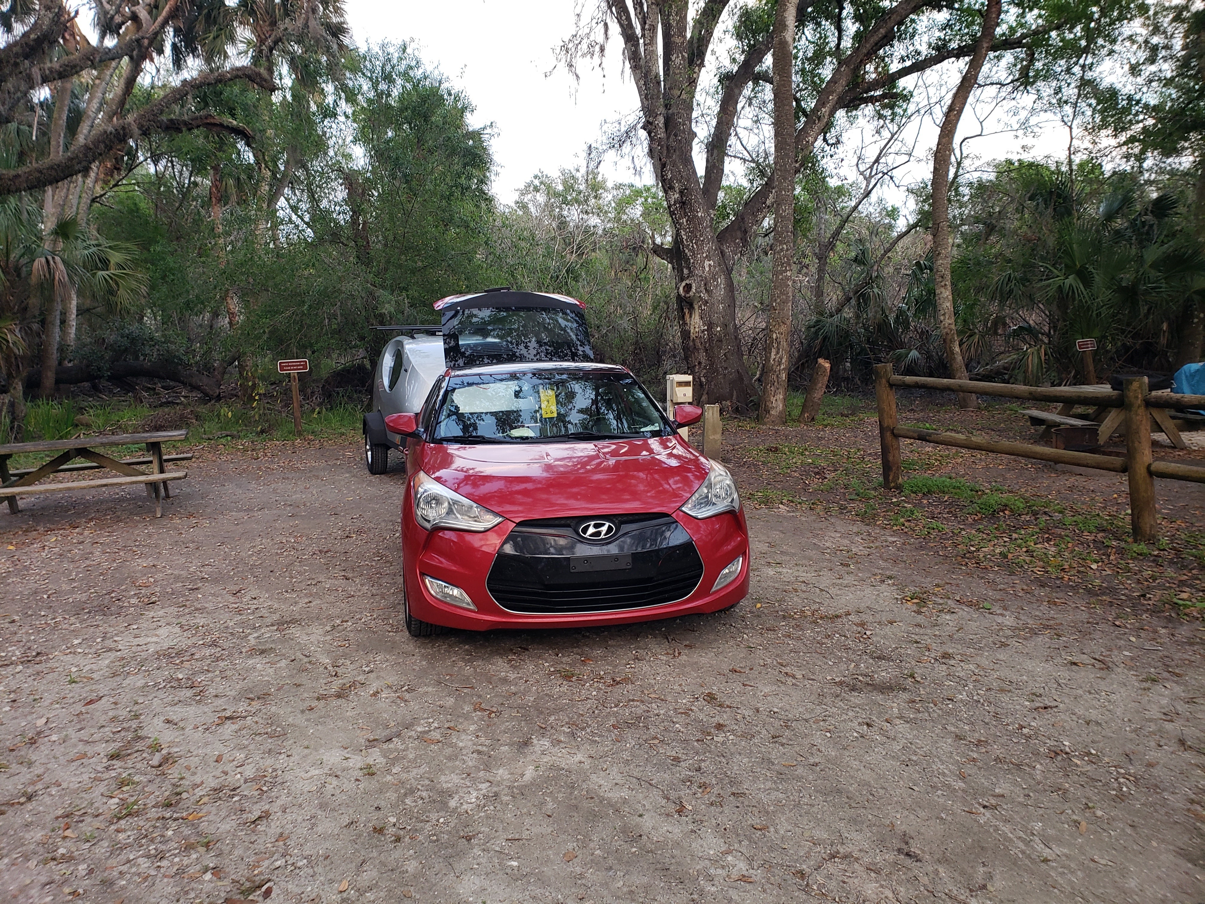 Camper submitted image from Big Flats Campground — Myakka River State Park - 2