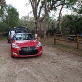 Review photo of Big Flats Campground — Myakka River State Park by timothy B., March 11, 2023