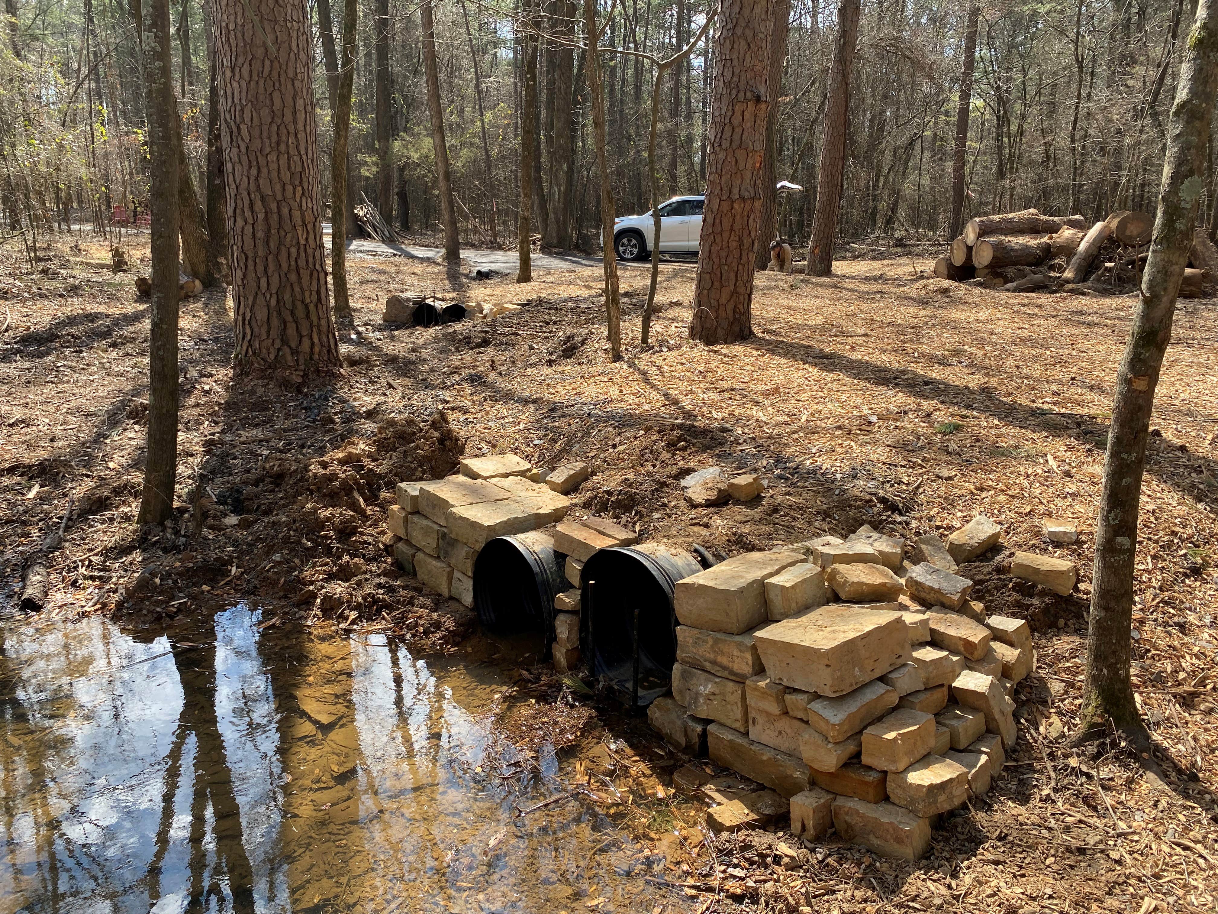 Camper-submitted photo at Camp 62 on Petit Jean Mountain near Ozark-St. Francis National Forests