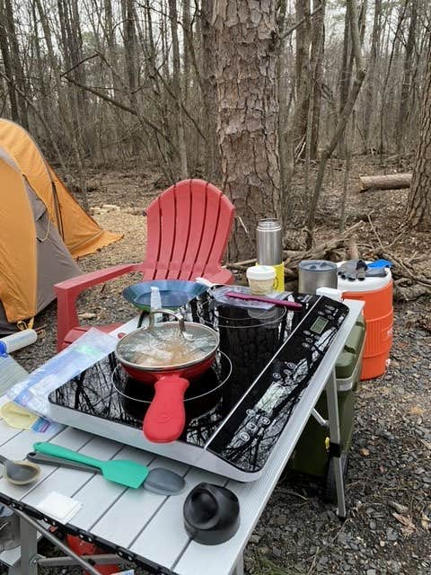Frank & Jo K.'s photo at Camp 62 on Petit Jean Mountain near Ozark-St. Francis National Forests