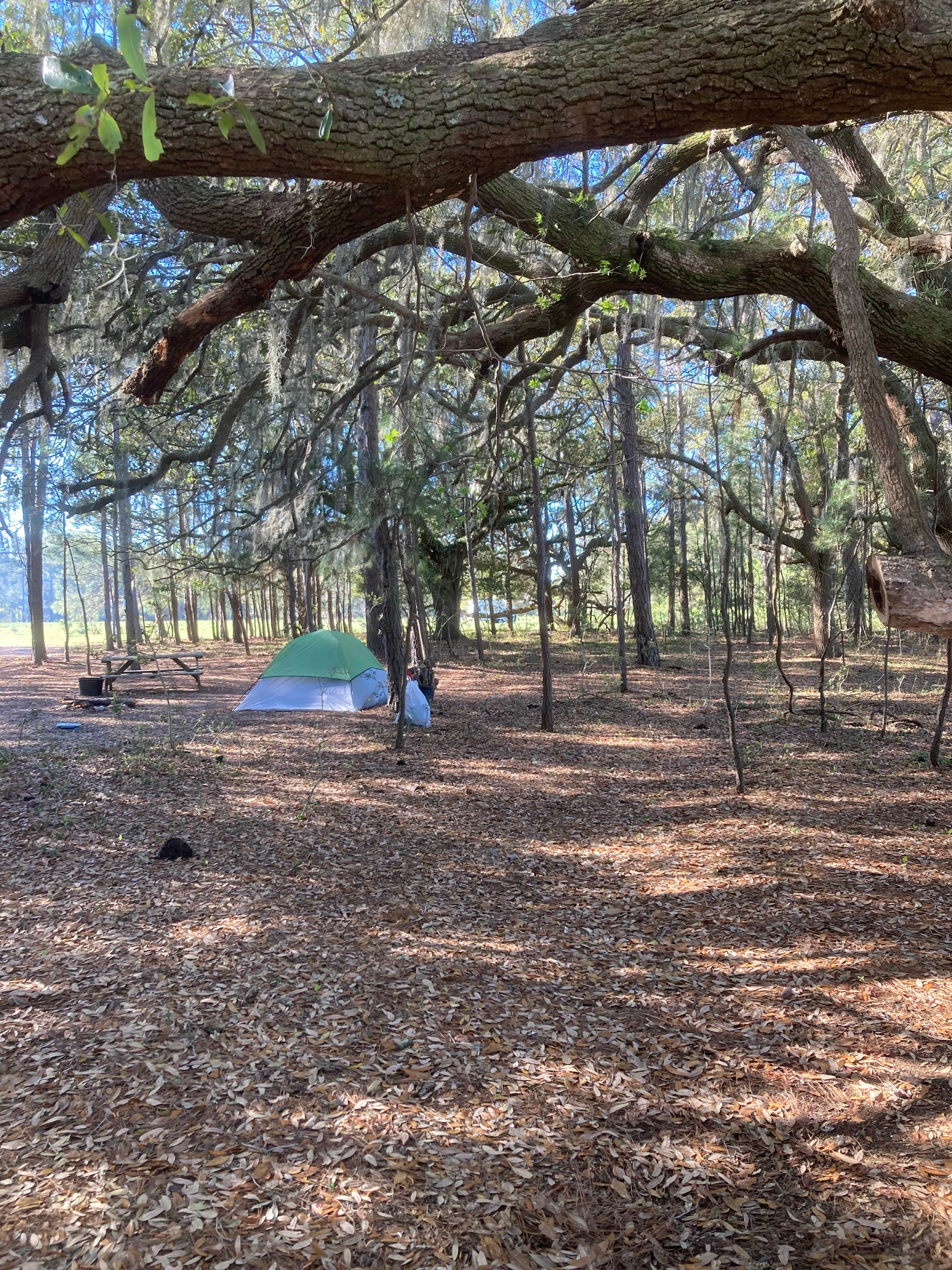 Camper-submitted photo at Hanscombe Point Campground near Johns Island, SC