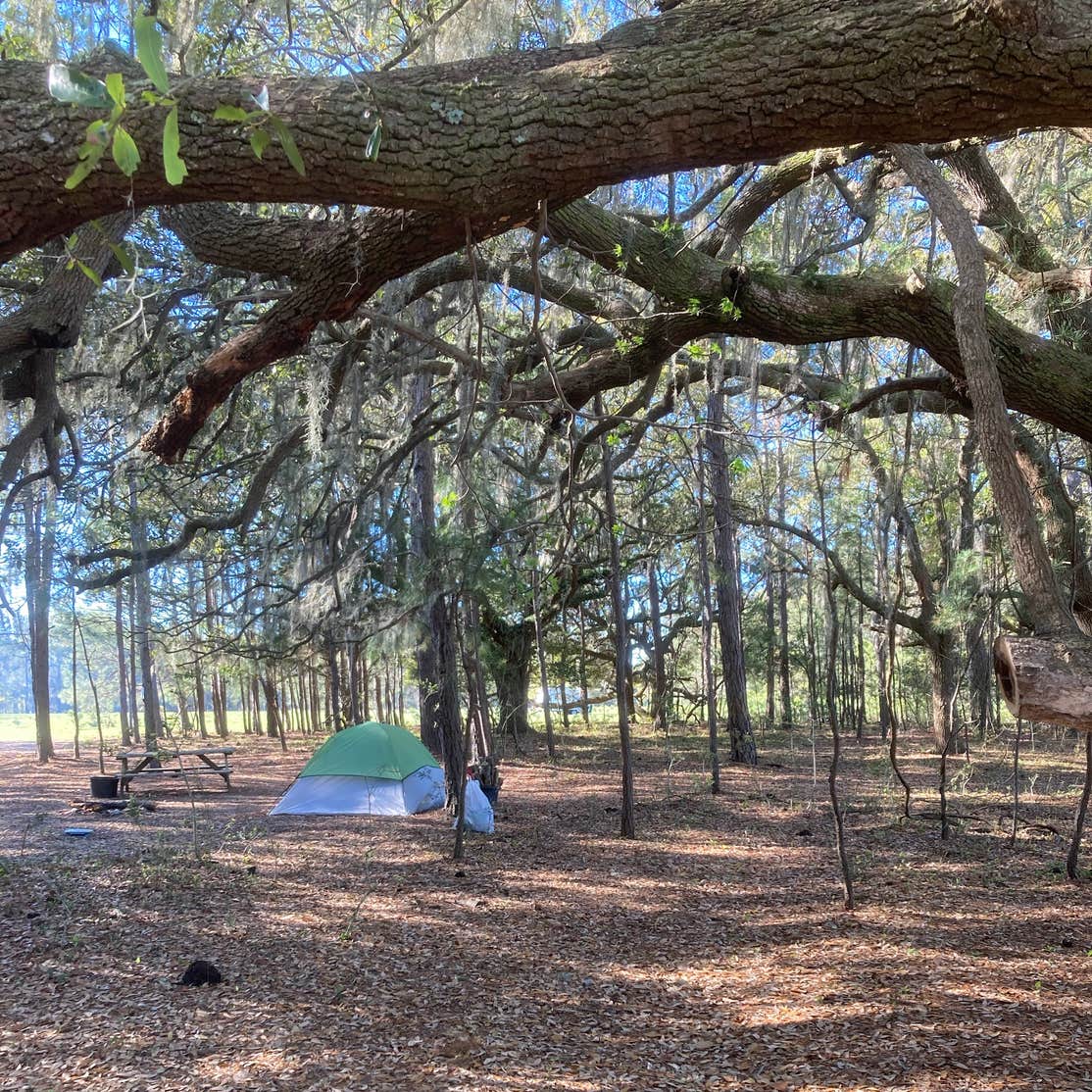 Hanscombe Point Campground Camping | The Dyrt