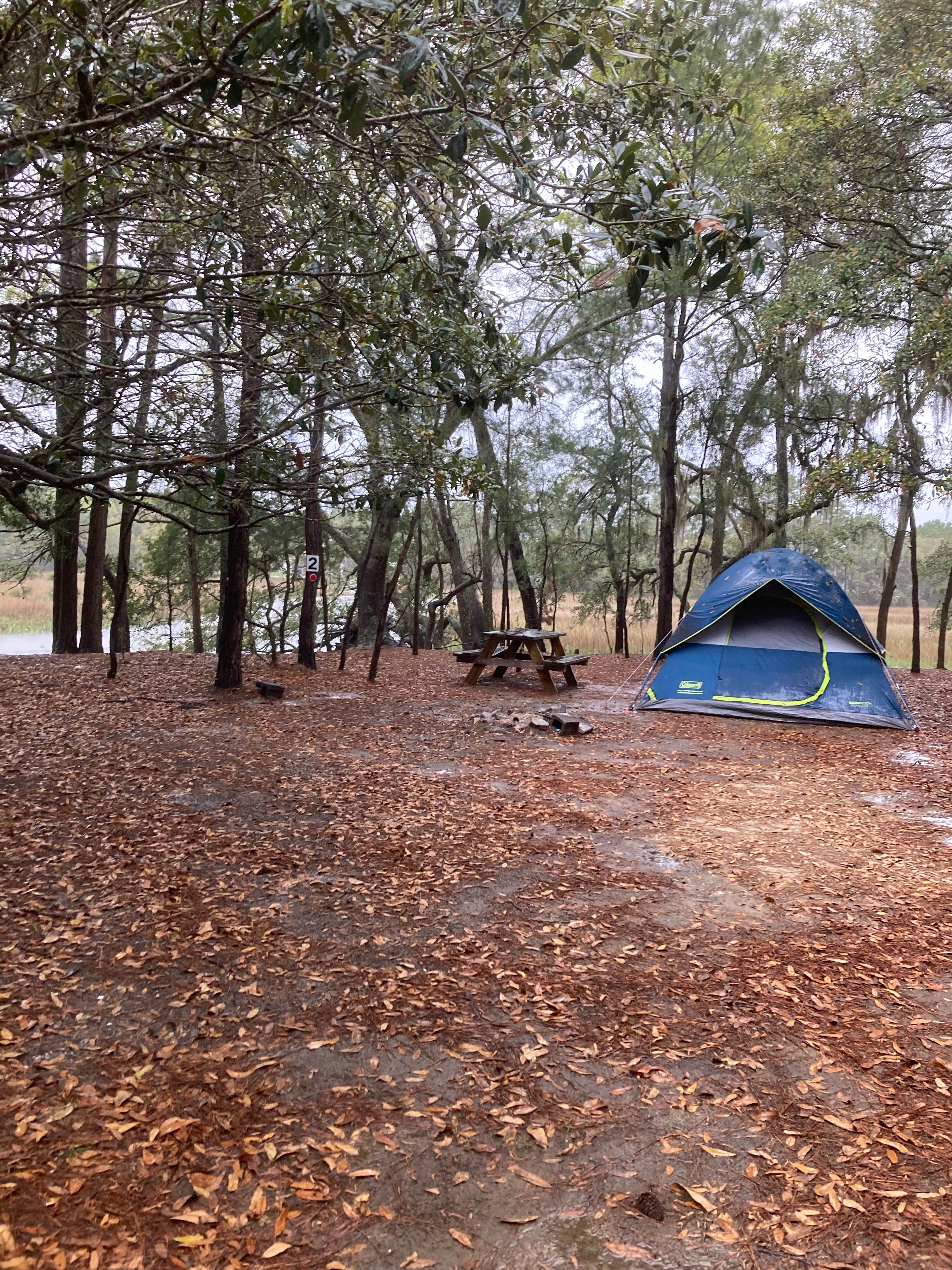 Camper submitted image from Hanscombe Point Campground - 5