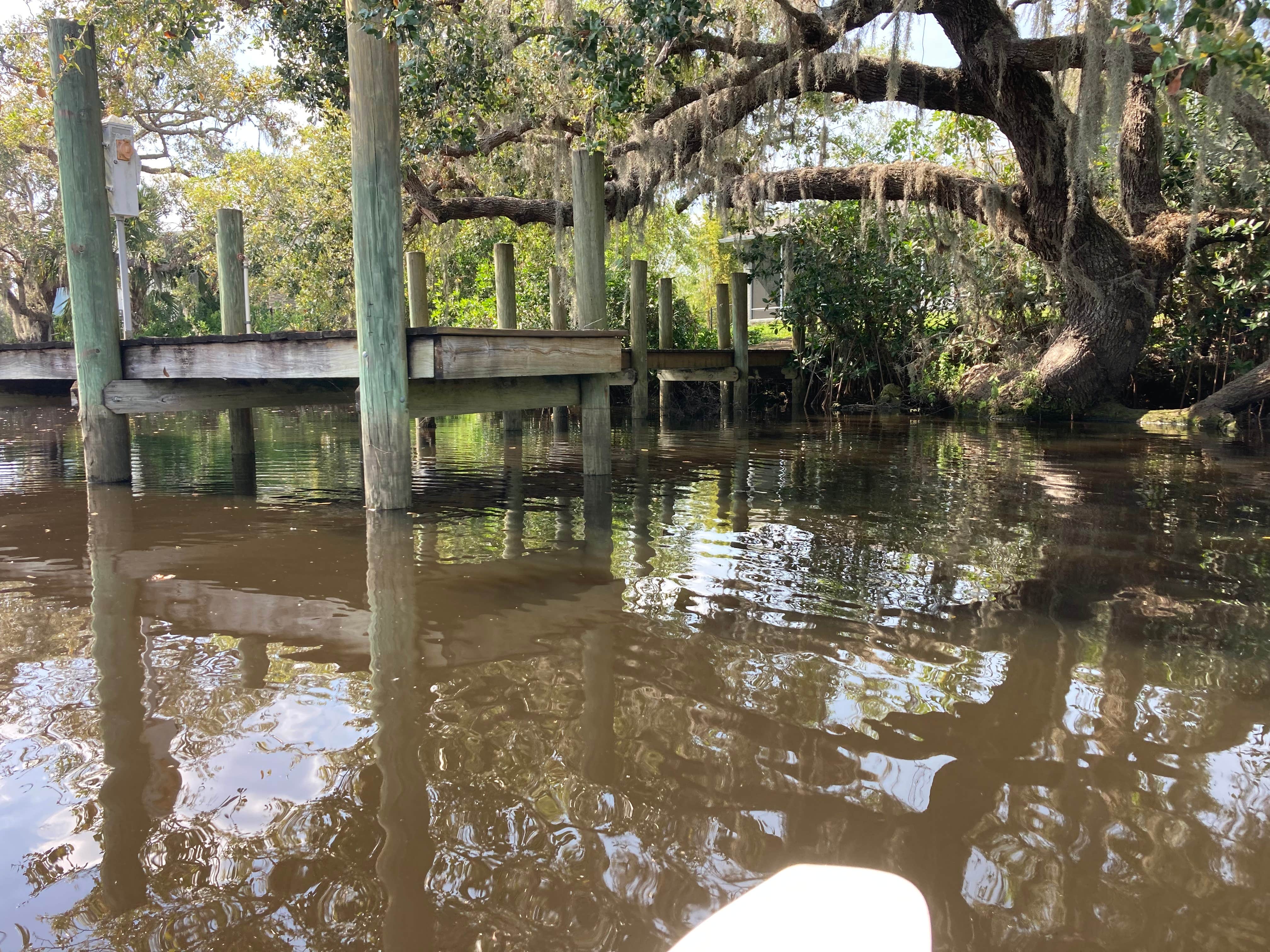 Camper submitted image from Caloosahatchee Regional Park - 4