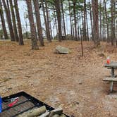 Review photo of Pharoah - Garden of the Gods Rec Area Campground by Sam H., March 11, 2023