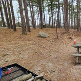 Review photo of Pharoah - Garden of the Gods Rec Area Campground by Sam H., March 11, 2023