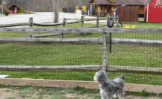 Todd C.'s photo of camping with pets at Ashland Huntington West KOA near Huntington, WV