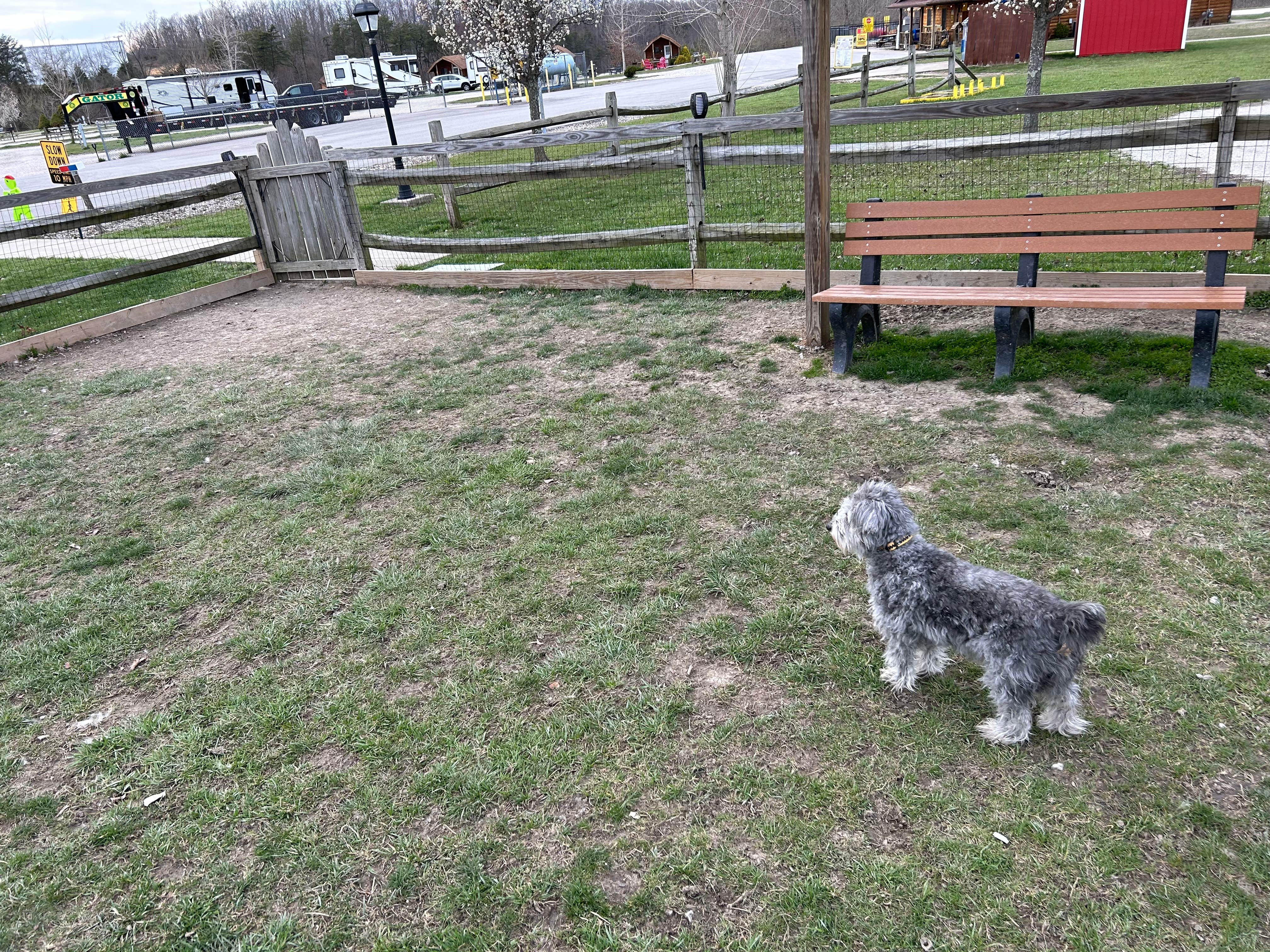 Todd C.'s photo of camping with pets at Ashland Huntington West Campground near Friendship, OH