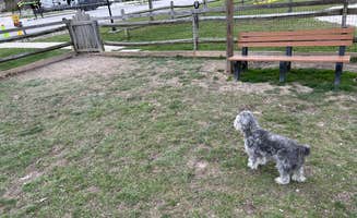 Todd C.'s photo of camping with pets at Ashland Huntington West Campground near Wilsondale, WV